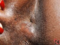 Cute ebony babe Jasmine pours a lot of oil into her anal hole