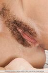 Leggy brunette Lorena B in short does hot striptease for trimmed pussy closeup