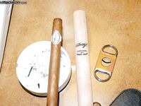 Sluts Jenaveve Jolie, Kelly Madison, and Ryan Madison want a cigar after club